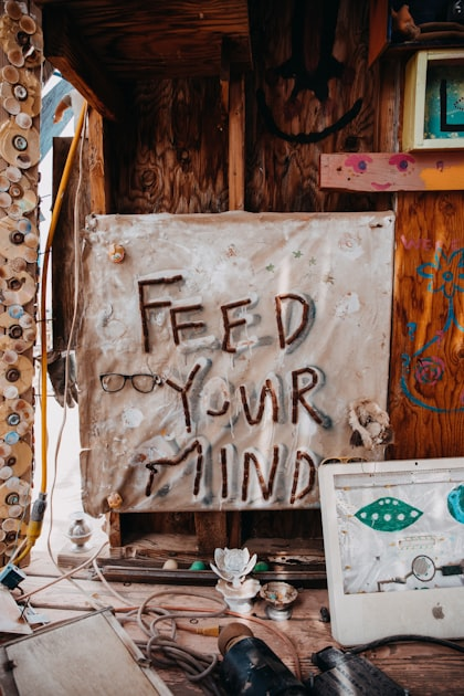Curiosity and Human Behavior